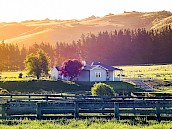 NZBNB accommodation