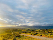NZBNB accommodation