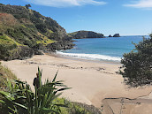 NZBNB accommodation