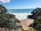 NZBNB accommodation
